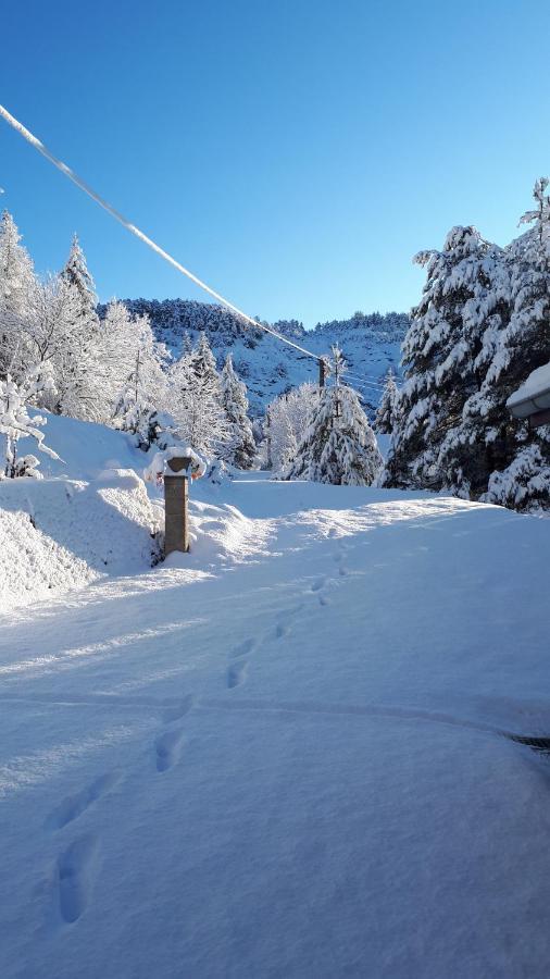 Mon Ecrin De Nature Rez De Ensoleillé Hébergement de vacances *